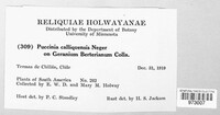 Image Associated With the Occurence